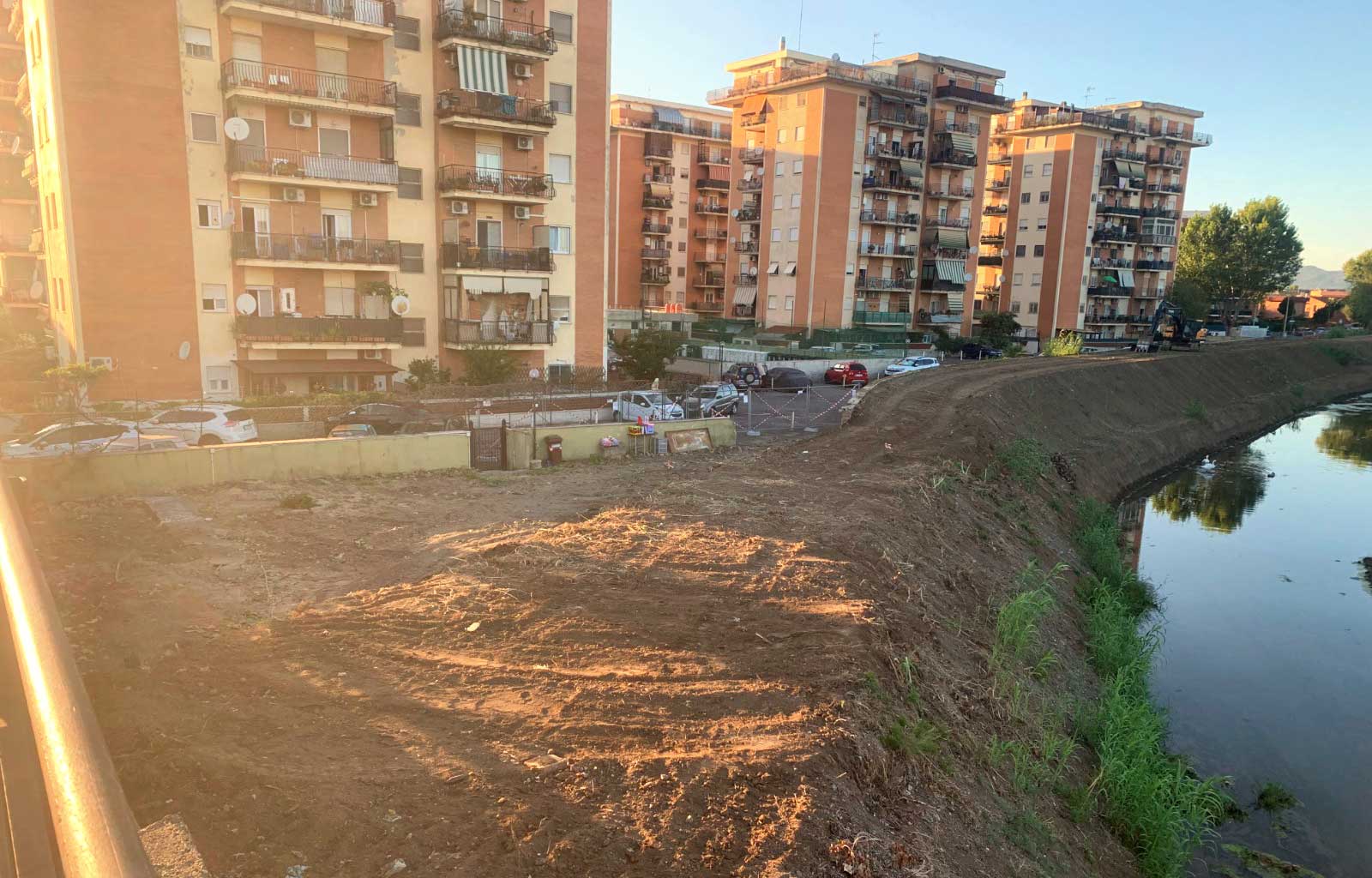 Alberi abbattuti lungo il Vaccina: l’interrogazione di Ladispoli Attiva