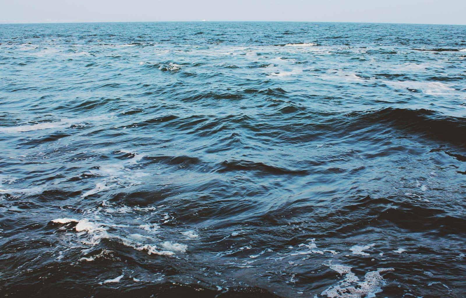 Mare inquinato a Ladispoli? Ora servono risposte