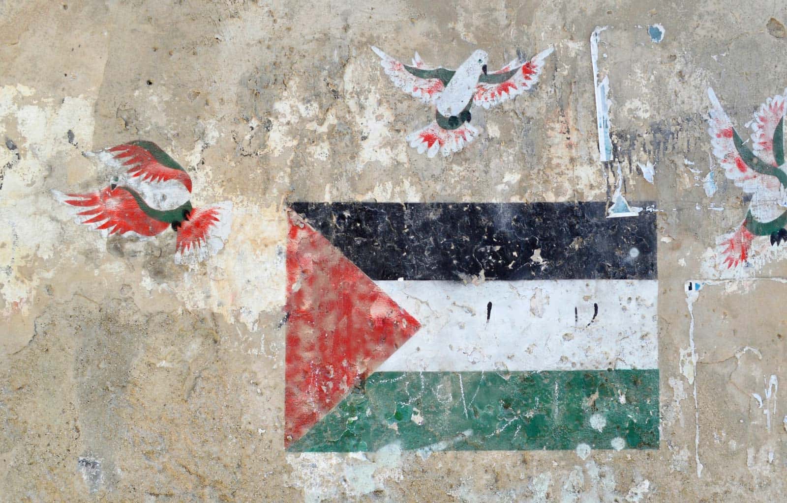 Non resteremo in silenzio. In consiglio comunale arriva la mozione per il riconoscimento dello stato di Palestina.